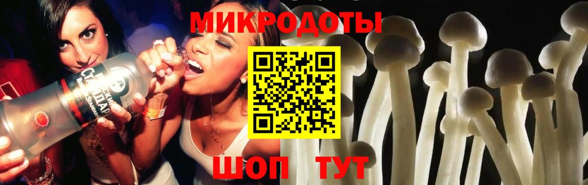 Псилоцибиновые грибы GOLDEN TEACHER Фролово